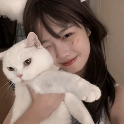 斗神大陆最新版下载