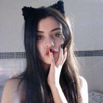 猫抓运气中文破解版下载